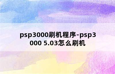 psp3000刷机程序-psp3000 5.03怎么刷机